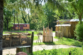 Le camp du fauconnier